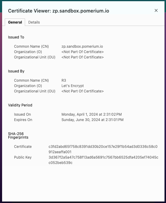Reviewing the Let's Encrypt certificate for a custom domain